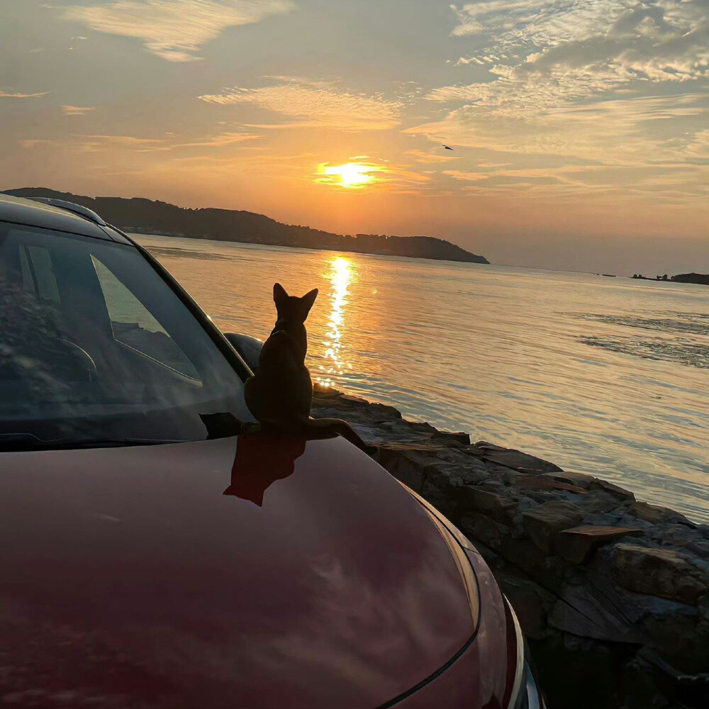 停留于7的位置《其实下一页是幸福》[320K/MP3][46.25MB]-影音屋