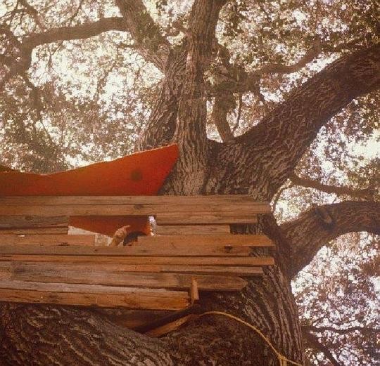 The Backseat Lovers《Waiting to Spill》[专辑][FLAC][987MB]-影音屋