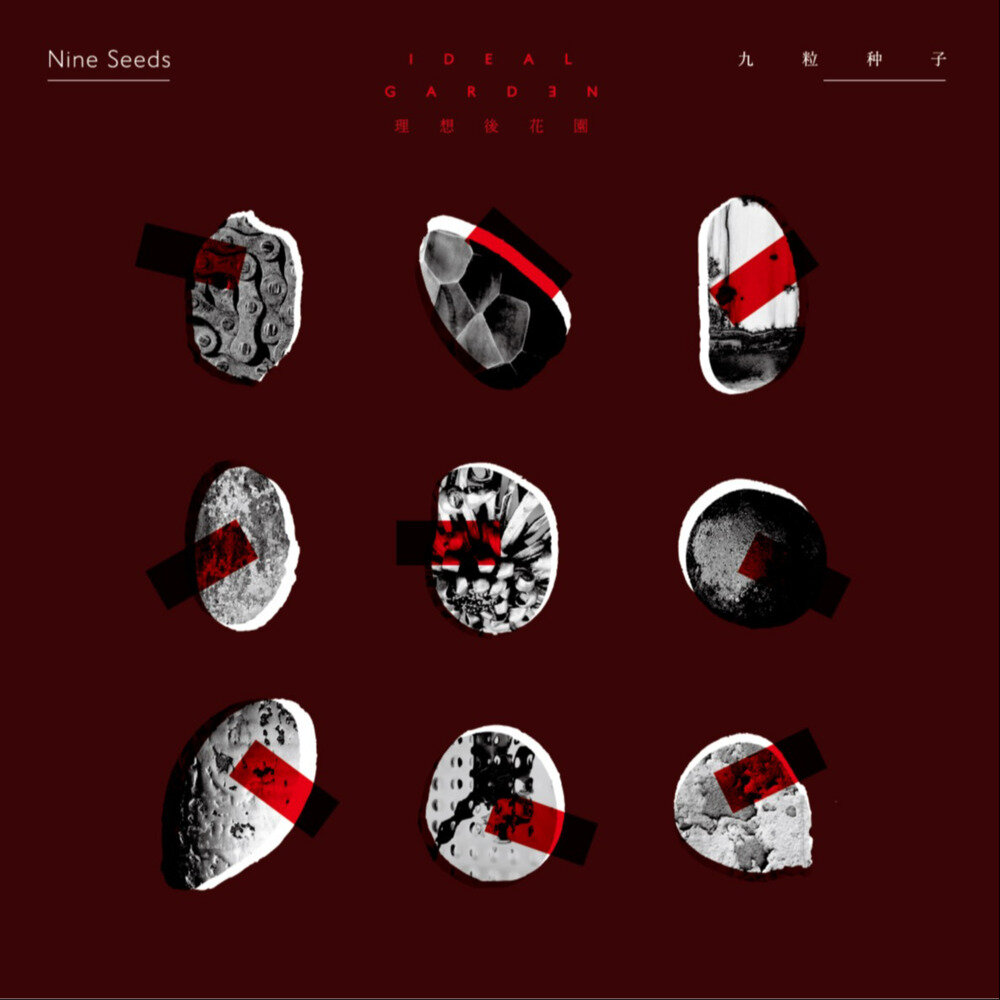 理想后花园《九粒种子》[320K/MP3][89.97MB]-影音屋