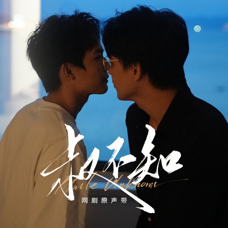 群星《叔不知 网剧原声带》[320K/MP3][49.08MB]-影音屋