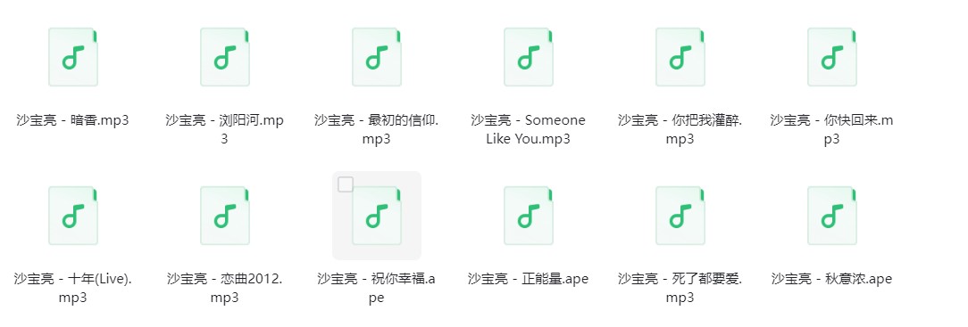 图片[2]-沙宝亮《沙宝亮歌曲合集》[320K/MP3][176.5MB]-影音屋