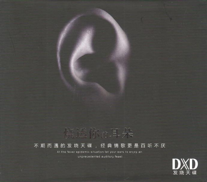 群星《烧透你的耳朵1》DXD金佰利 [低速原抓WAV+CUE][1.2G]-影音屋