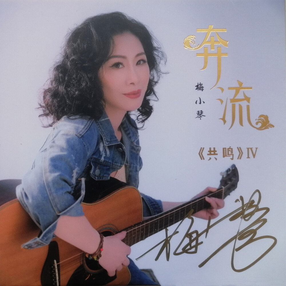 梅小琴《共鸣Ⅳ·奔流HQⅡ》头版限量编号[WAV+CUE][1.1G]-影音屋