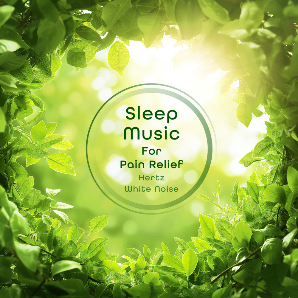 刘纬武《睡眠音乐家 缓解疼痛 赫兹白噪音》[320K/MP3][217.2MB]-影音屋