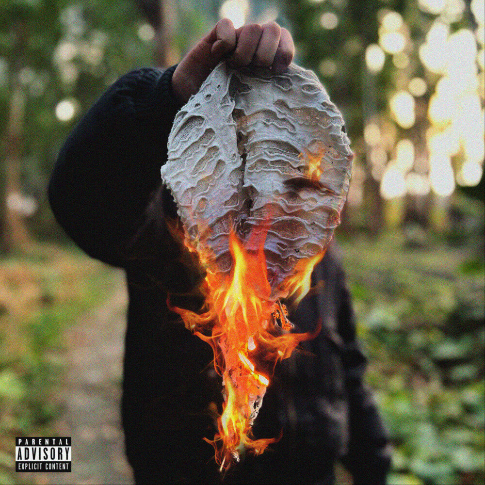 NIAN424《珍珠》[320K/MP3][68.77MB]-影音屋