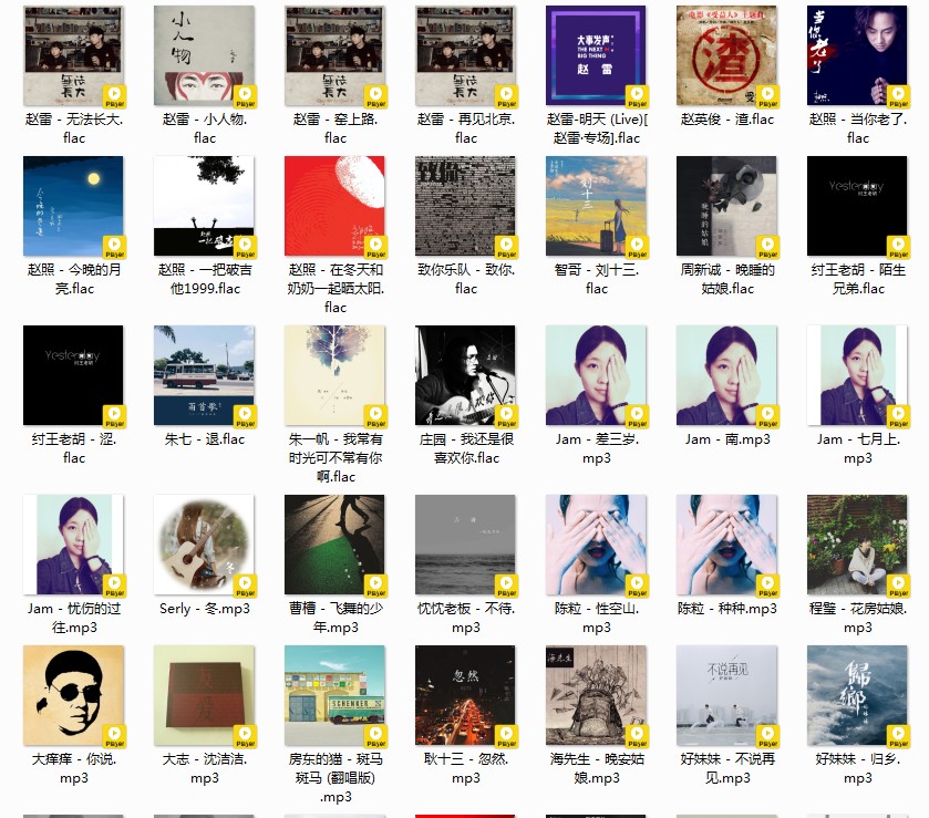 图片[10]-《歌单 民谣与酒 姑娘 吉他 南北方 甄选458首》[FLAC/MP3][12GB]-影音屋