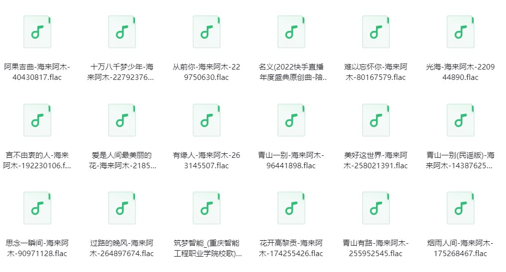 图片[2]-海来阿木《海来阿木歌曲合集》[FLAC/分轨][2.7G]-影音屋