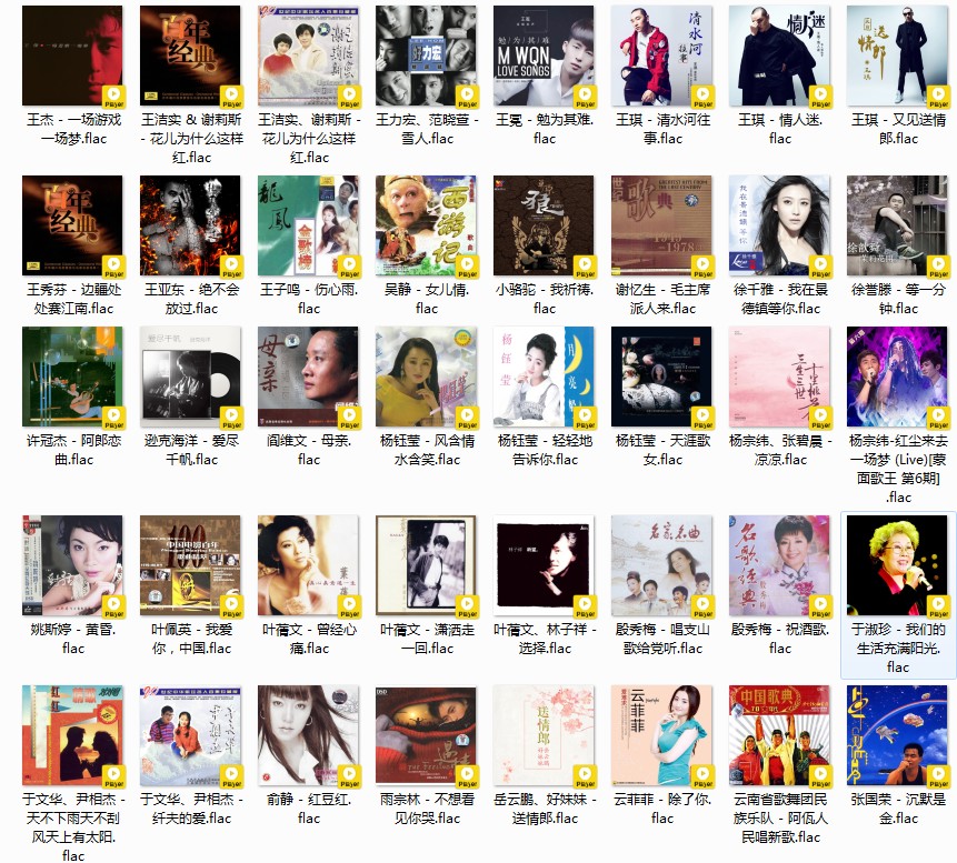 图片[8]-《华语歌单 经典老歌 收集319首 满满的回忆 内嵌词图》[FLAC/分轨][8.5GB]-影音屋