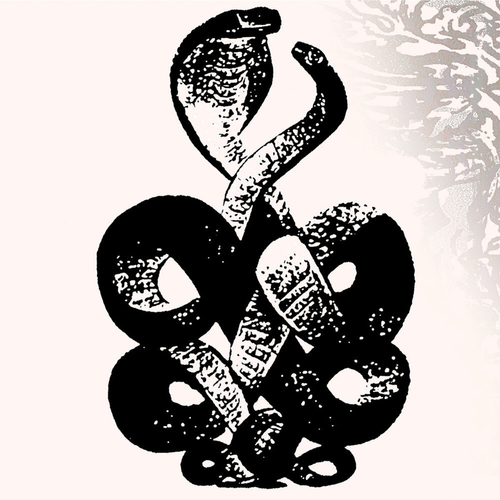 Bardo Pond《Bardo Pond, Vol. 4》[16Bit-44.1kHz][FLAC/分轨][239.71MB]-影音屋