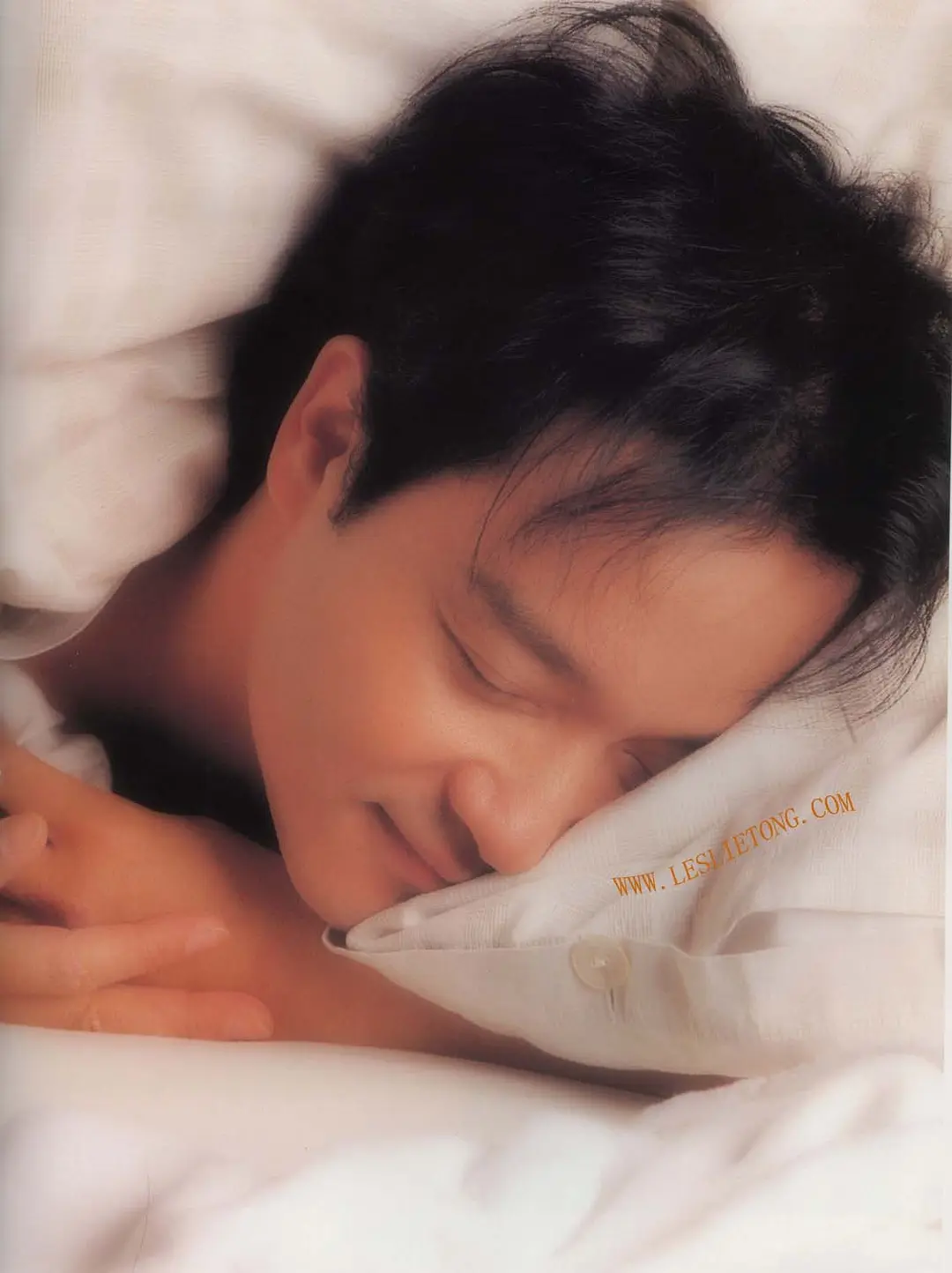 张国荣《张国荣歌迷必备歌单》[共272首][WAV][10.7GB]-影音屋