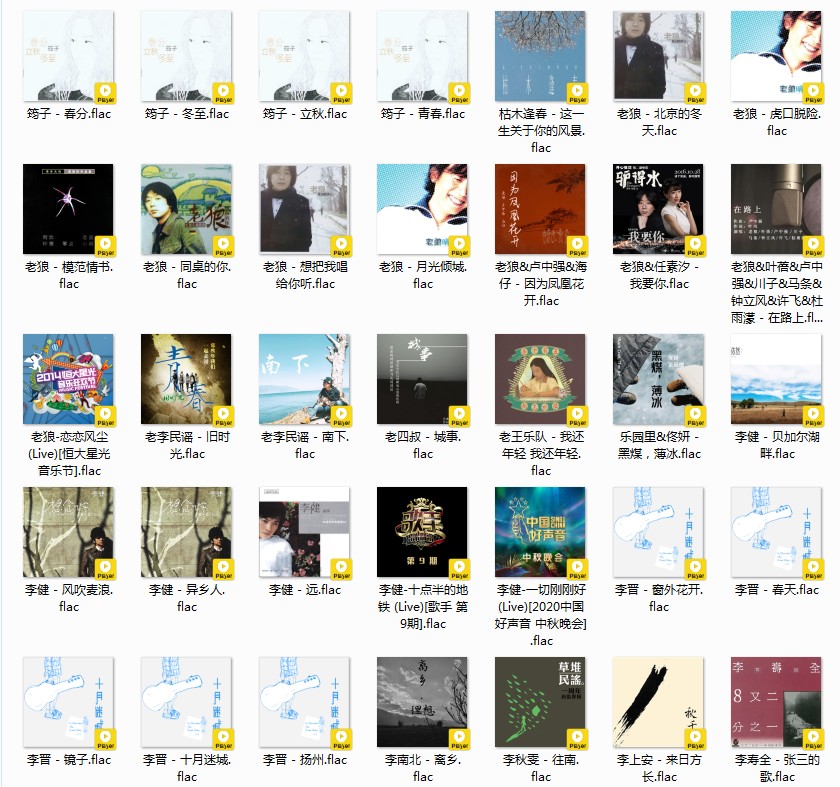 图片[5]-《歌单 民谣与酒 姑娘 吉他 南北方 甄选458首》[FLAC/MP3][12GB]-影音屋