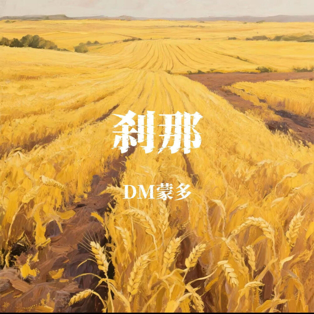 DM蒙多《刹那》[320K/MP3][98.6MB]-影音屋