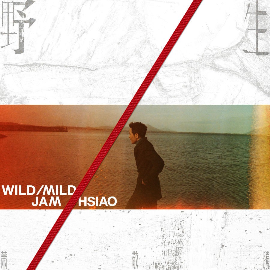 萧敬腾《野生》[FLAC/分轨][157.52MB]-影音屋