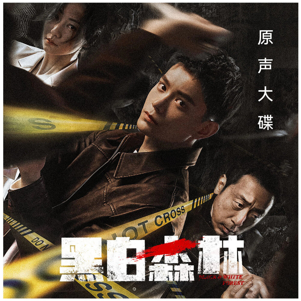 群星《黑白森林 影视剧原声大碟》[FLAC/分轨][329.55MB]-影音屋