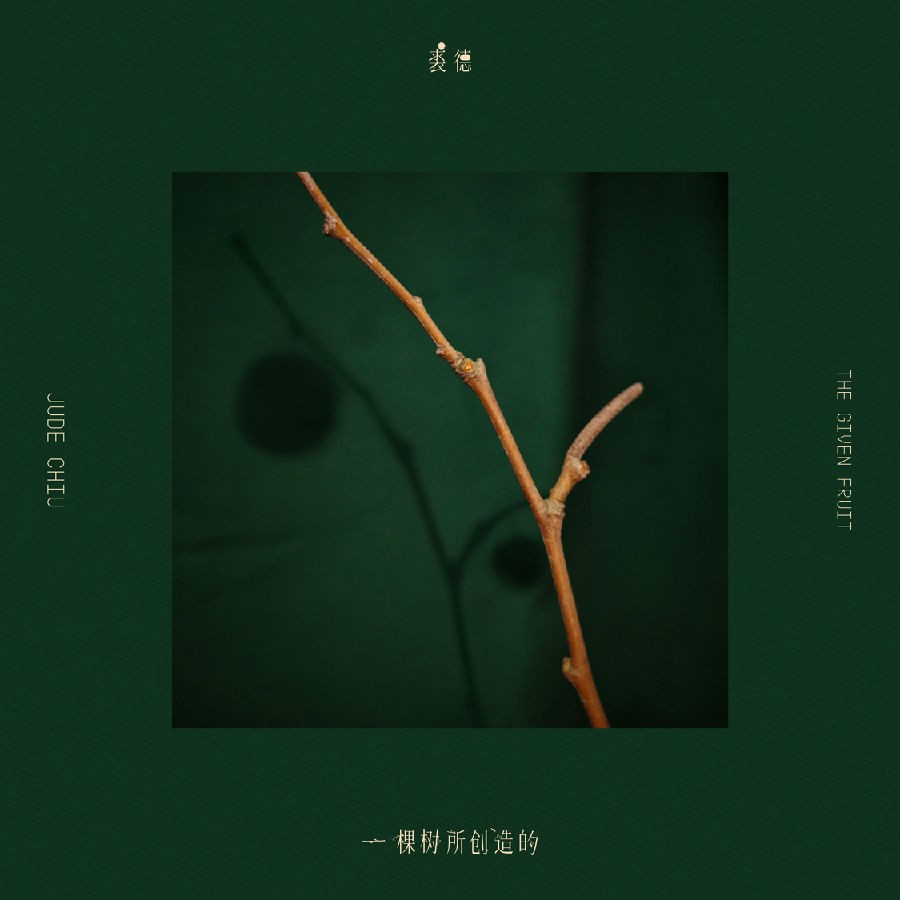 裘德《一棵树所创造的》[320K/MP3][56.21MB]-影音屋