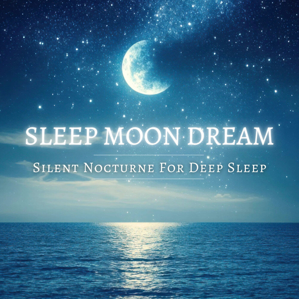 许惠钧《睡眠月之梦 寂静深眠夜曲》[24Bit-48kHz][FLAC/分轨][645.8MB]-影音屋