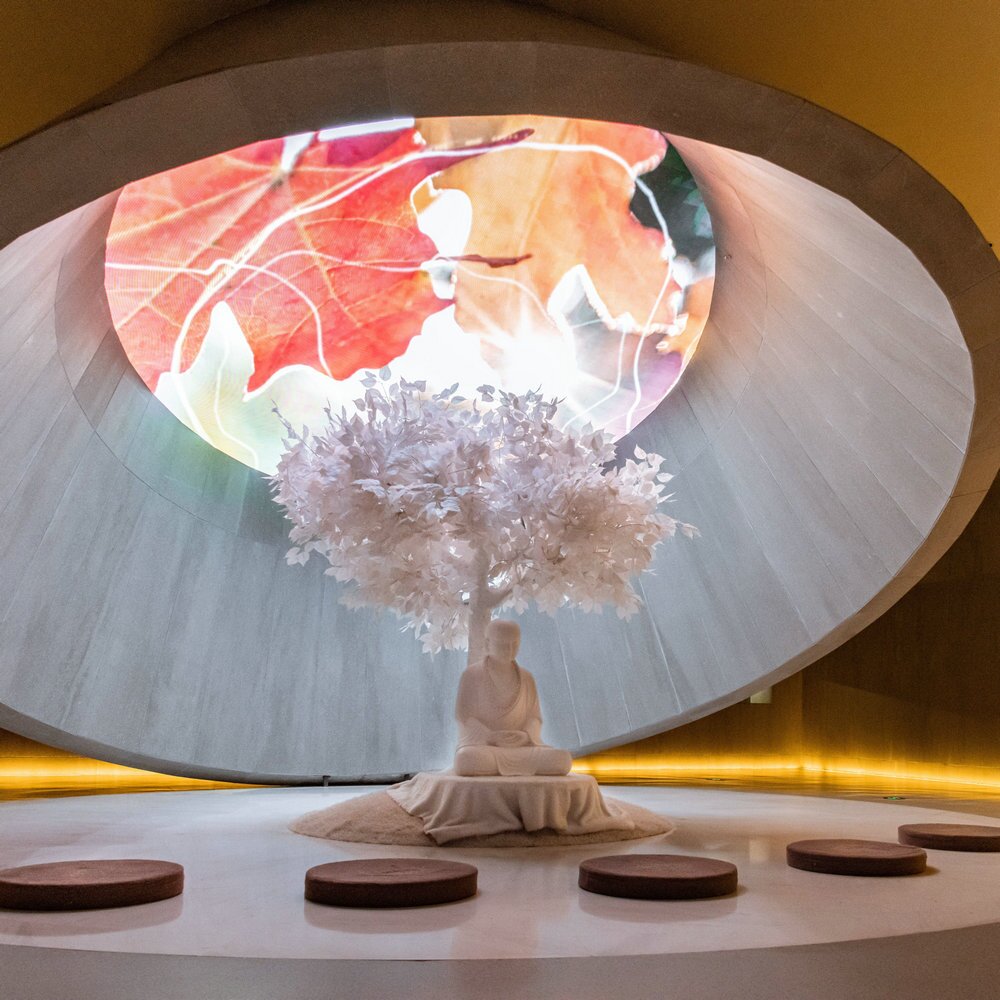 疗愈音律《古韵五行康养琴音录 中式理疗五音疗愈》[320K/MP3][20.46MB]-影音屋