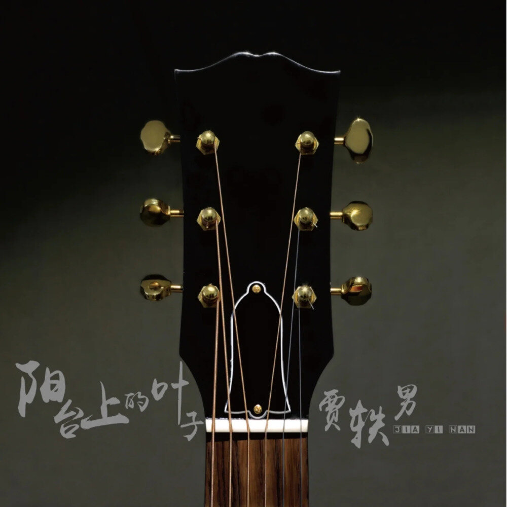 贾轶男《阳台上的叶子》[24Bit-48kHz][FLAC/分轨][313.84MB]-影音屋