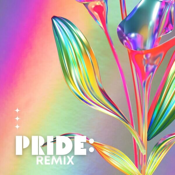 Various Artists《PRIDE Remix》[16Bit-44.1kHz][FLAC/分轨][255.82MB]-影音屋