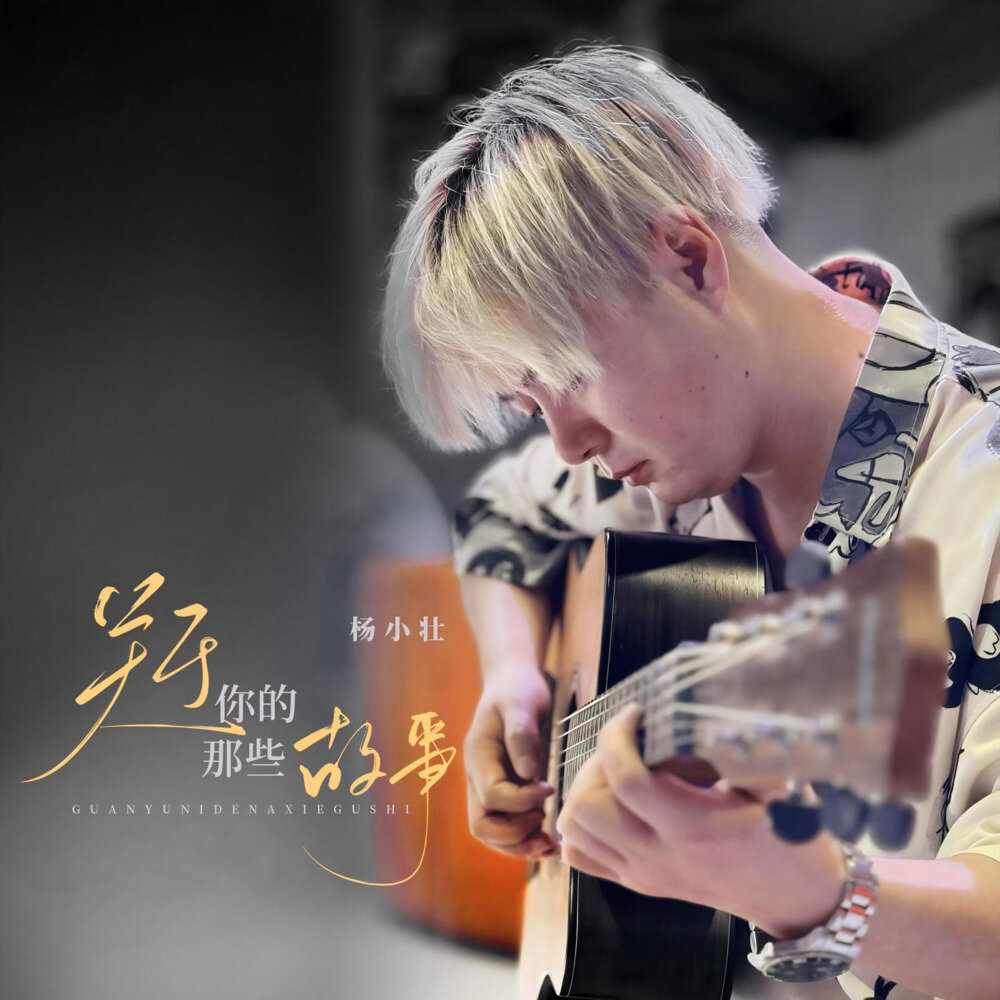 杨小壮《关于你的那些故事》[320K/MP3][145.87MB]-影音屋
