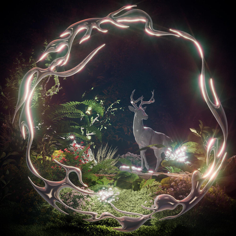 普阿山《在黄昏的光晕里飞向明天》[320K/MP3][31.09MB]-影音屋