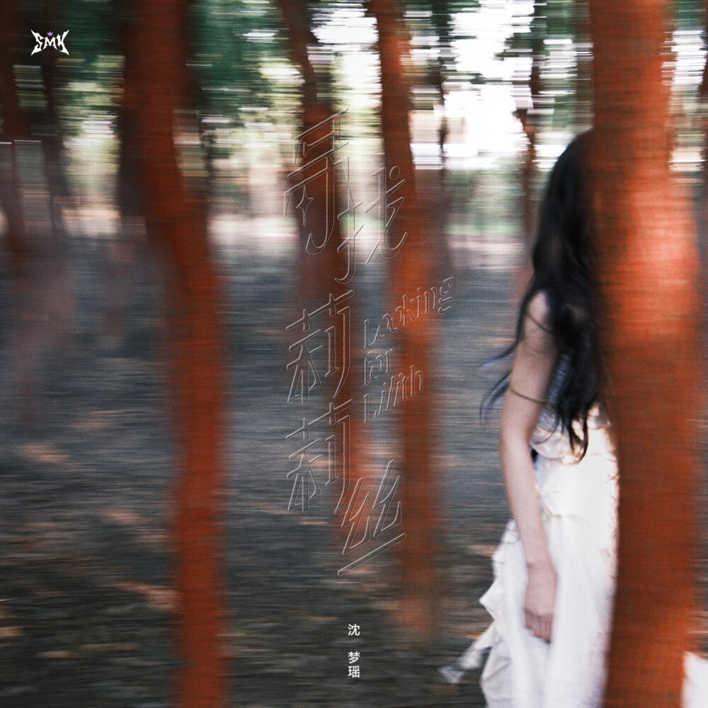 沈梦瑶《寻找莉莉丝》[FLAC/分轨][65.79MB]-影音屋