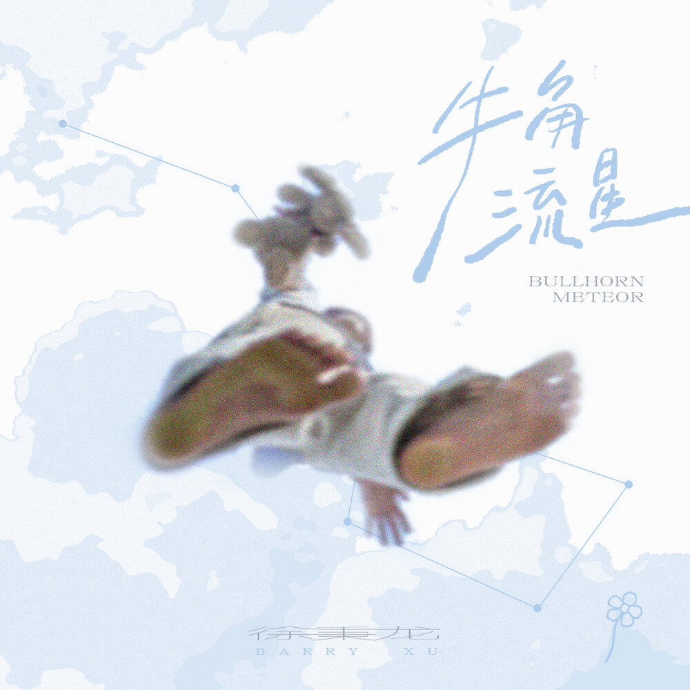 徐秉龙《牛角流星》[320K/MP3][60.1MB]-影音屋