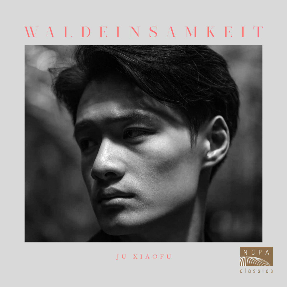 鞠小夫《鞠小夫：林中孤寂》[320K/MP3][177.34MB]-影音屋