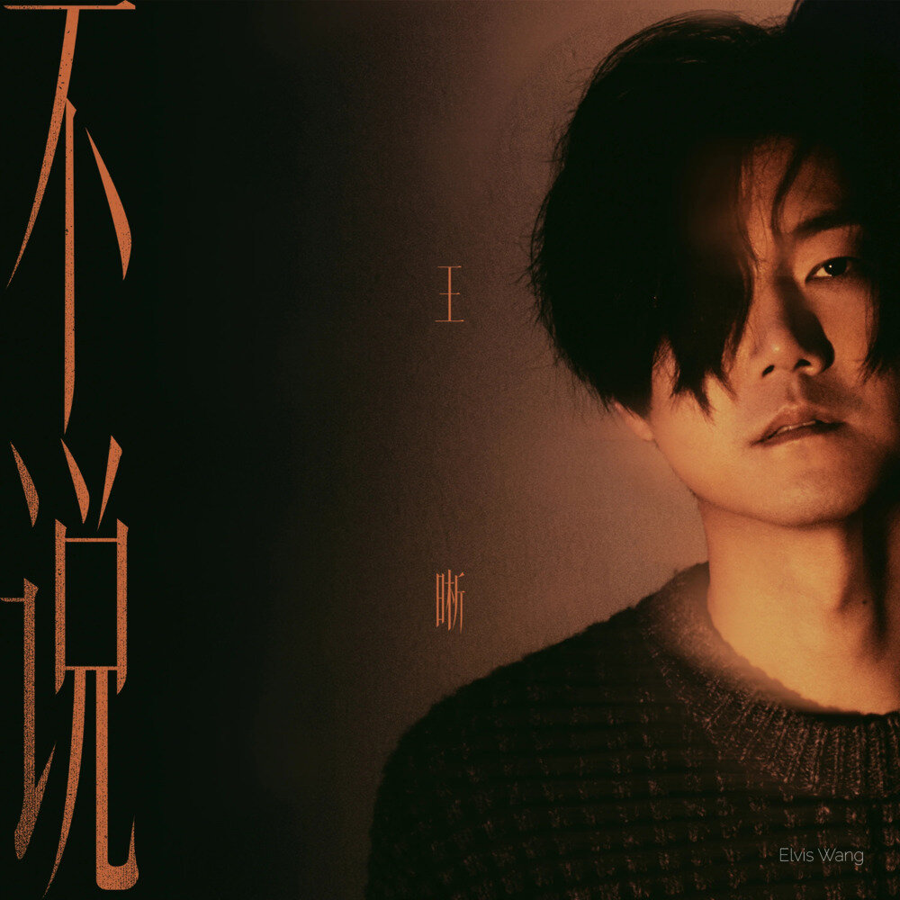 王晰《不说》[24bit-48kHz][FLAC/分轨][345.52MB]-影音屋