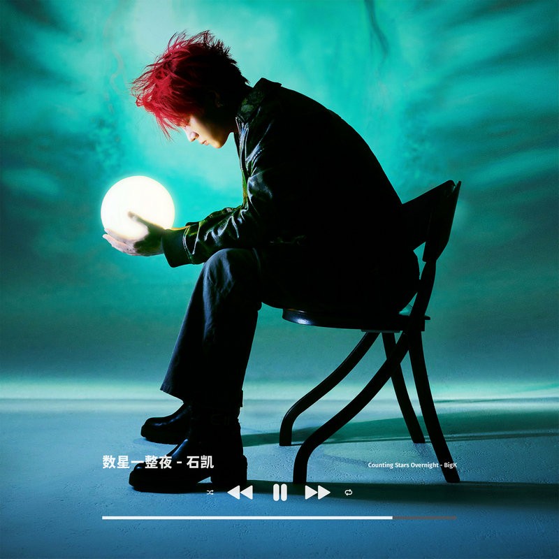 石凯《数星一整夜》[320K/MP3][44.18MB]-影音屋
