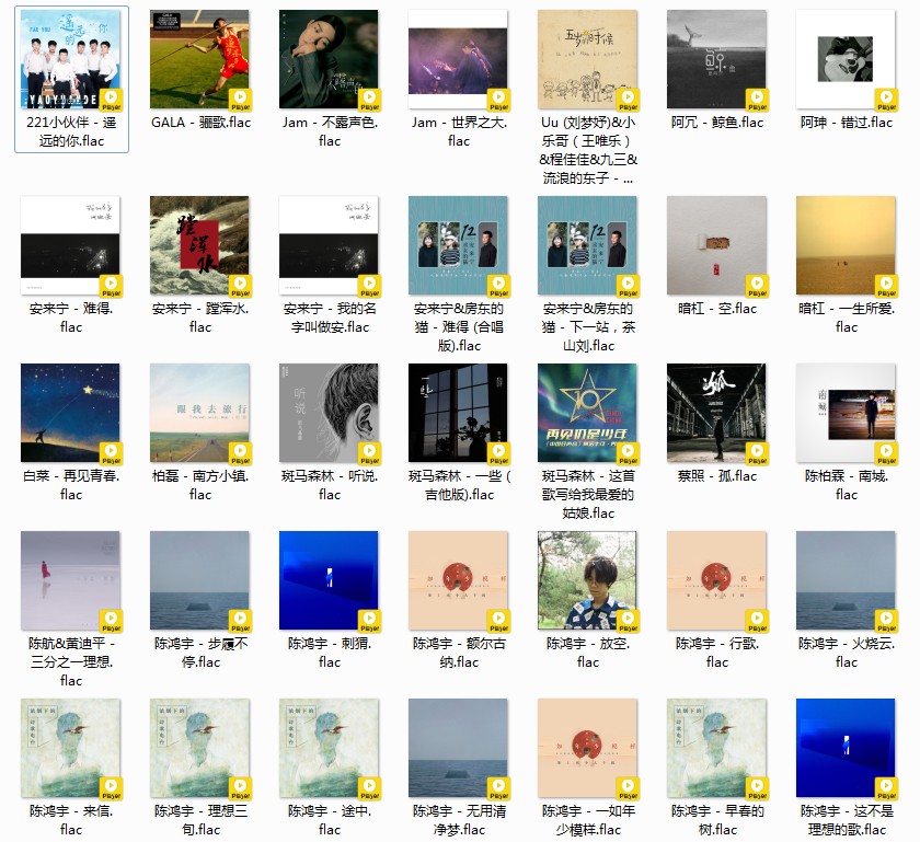 《歌单 民谣与酒 姑娘 吉他 南北方 甄选458首》[FLAC/MP3][12GB]-影音屋
