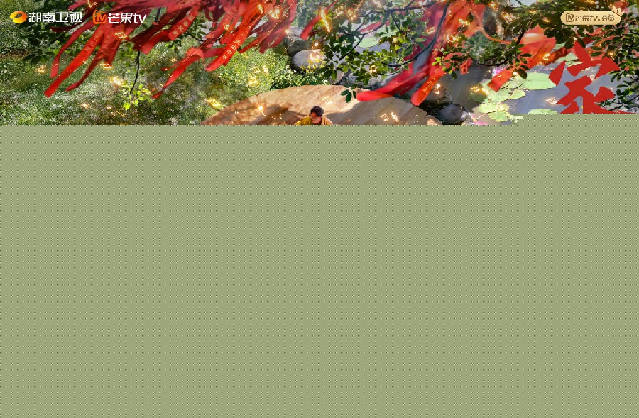 [芒果TV 声生不息 家年华 第十二期 金曲盛典燃情开唱 两队角逐“荣耀家庭” 20140217][1080P/MP4][13.61GG]-影音屋