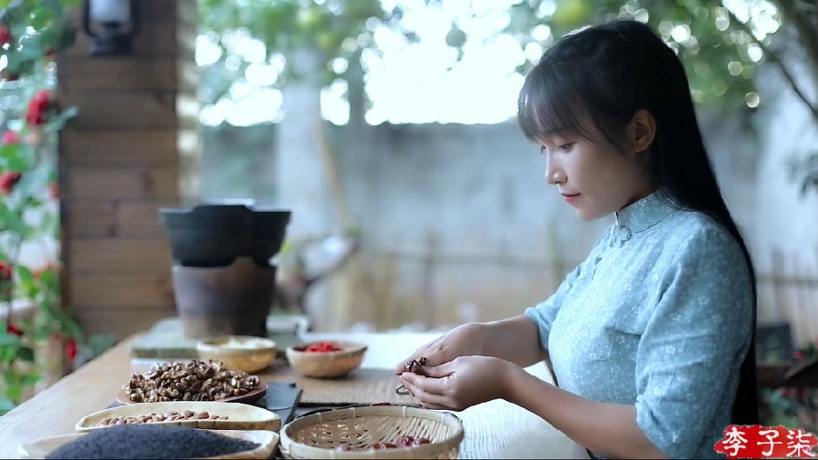 图片[3]-[网盘下载][李子柒视频全集][119个][mp4][1080P]-影音屋