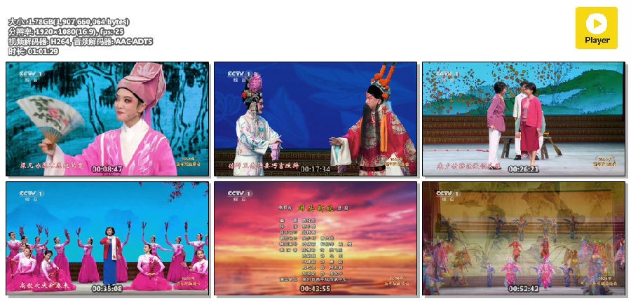 [CCTV1 2024年新年戏曲晚会 20240101][1080I/TS][1.8G]-影音屋