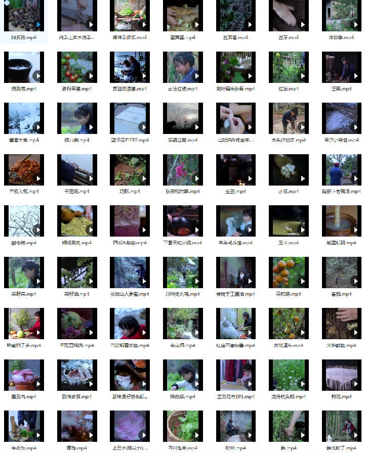 图片[2]-[网盘下载][李子柒视频全集][119个][mp4][1080P]-影音屋