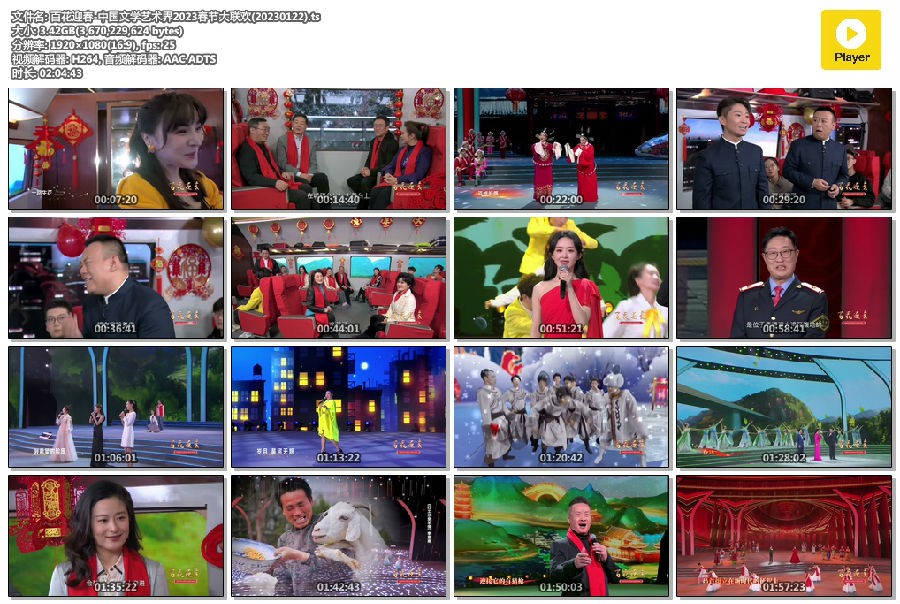 [百花迎春 中国文学艺术界2023春节大联欢 20230122][1080I/TS][3.4G]-影音屋