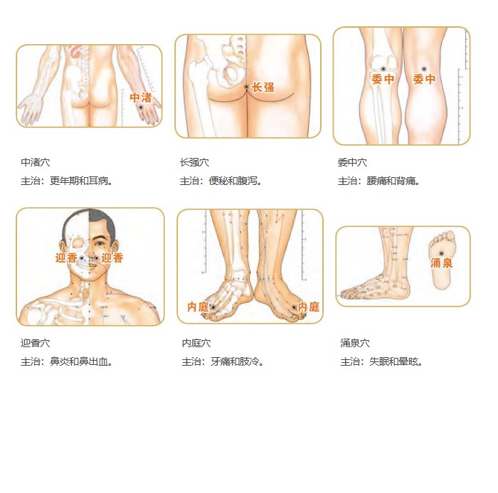 图片[3]-《经络穴位按摩速查全书》 权威图解中医经穴第一书[EPUB]-影音屋