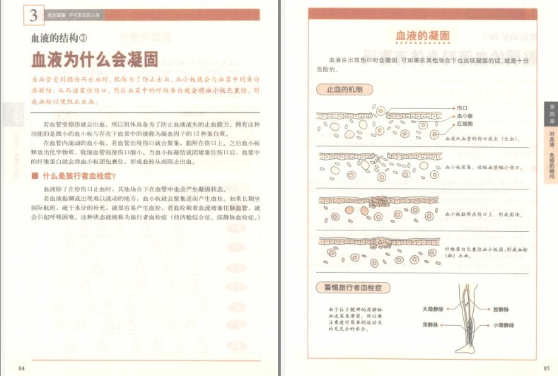 图片[10]-《完全图解不可思议的人体:深度解读人体密码》了解你自己的身体[pdf]-影音屋