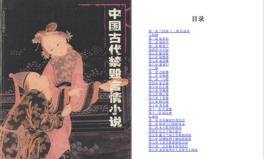 《中国古代禁毁言情小说》套装18册 这小说应该都喜欢[pdf]-影音屋