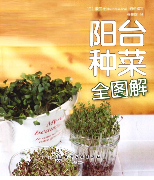 图片[2]-《阳台种菜全图解》家庭栽培蔬菜 四季吃上放心菜[pdf]-影音屋