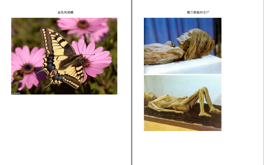 图片[5]-《鬼吹灯插图版》天下霸唱 盗墓者的诡异经历[mobi]-影音屋