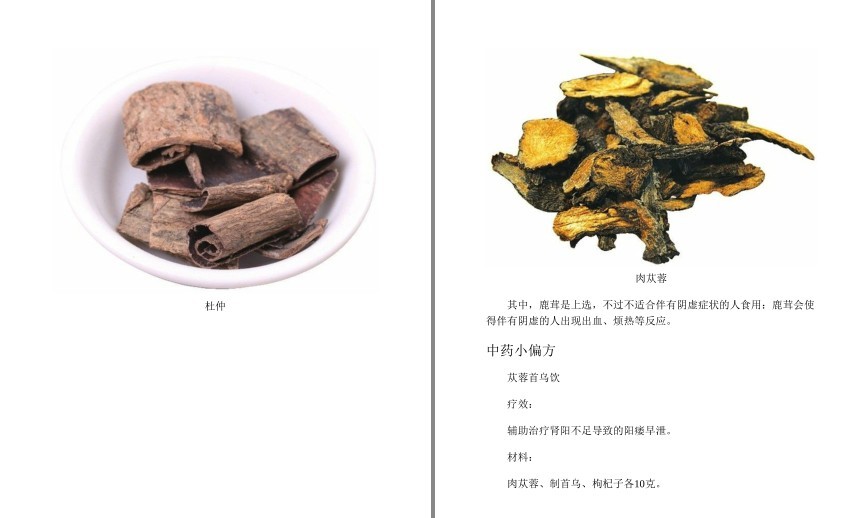 图片[9]-《小中药 大养生》家中有本草 健康无烦恼[pdf]-影音屋