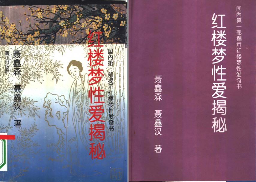《红楼梦性爱揭秘》红楼有梦难寻觅 西厢无计可消愁[pdf]-影音屋