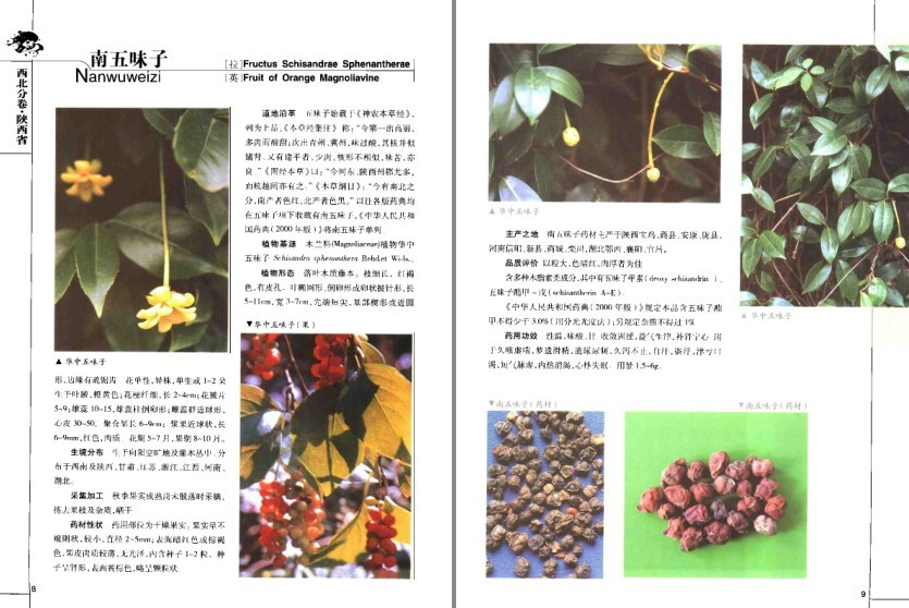 图片[2]-《道地药材图典·三北卷 》药材在全国各地分布及其药用功效[pdf]-影音屋