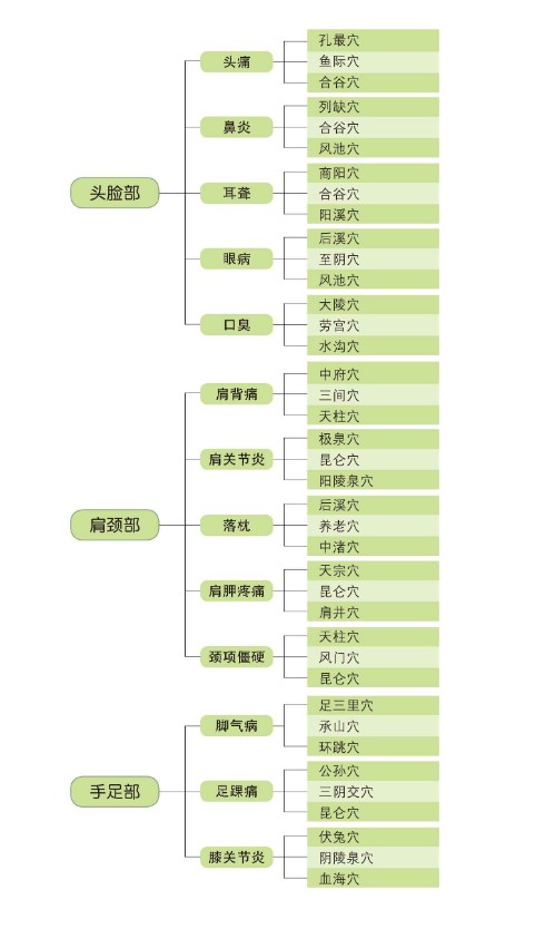 图片[4]-《经络穴位按摩速查全书》 权威图解中医经穴第一书[EPUB]-影音屋