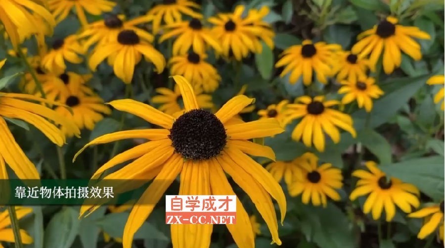 图片[5]-《短视频学院拍视频摄剪辑核心课》拍出让你朋友圈最靓的短视频[mp4]-影音屋