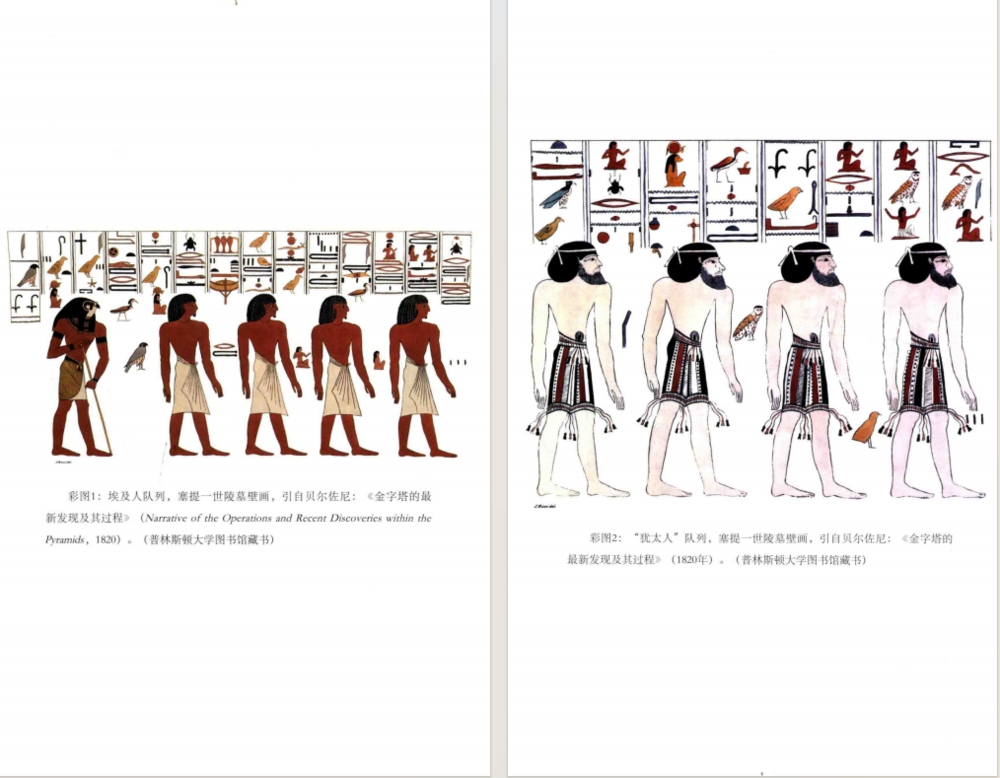 图片[2]-《成为黄种人 亚洲种族思维简史》[pdf]-影音屋