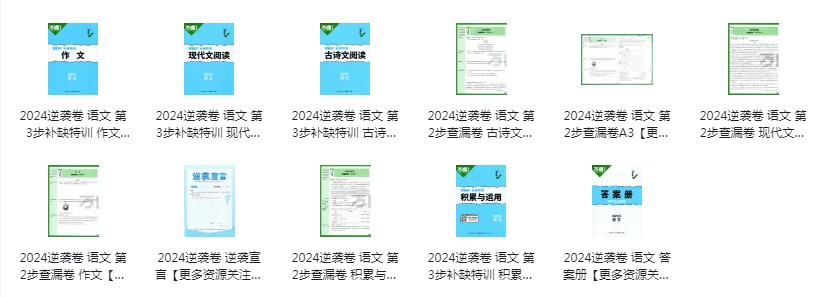 图片[2]-《2024年万唯中考系列》最新版语数外 物理化学几何压轴 提升成绩 考出高分[pdf]-影音屋