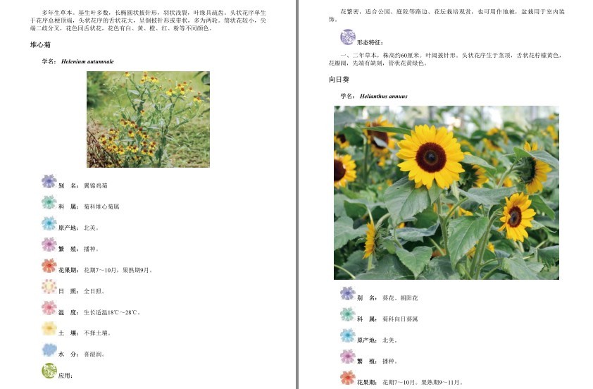 图片[6]-《经典观赏花卉图鉴:1200种花卉品鉴金典》科普各种花卉[epub]-影音屋