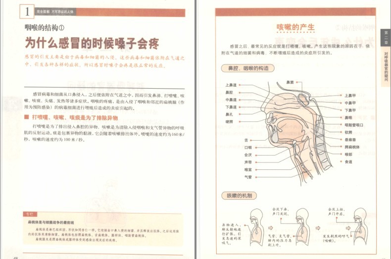 图片[7]-《完全图解不可思议的人体:深度解读人体密码》了解你自己的身体[pdf]-影音屋